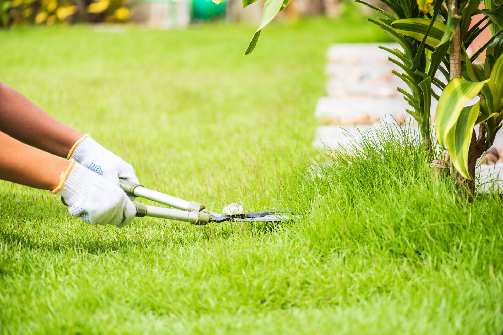 Eco-Friendly Cleaning—Better for Your Space & the Planet